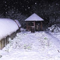 А снег идёт, а снег идёт... :: Людмила Смородинская