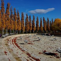 В парке " Краснодар " или Галицкого... :: Николай Саржанов