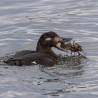 турпан :: юрий макаров турпан :: юрий макаров