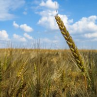 Выше всех :: Валерий Ткаченко