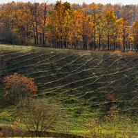 Ноябрь в Краснодарском крае :: Игорь Сикорский Ноябрь в Краснодарском крае :: Игорь Сикорский