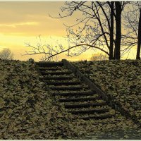 Ушла красота золотой осени... :: Aleksandr Gal