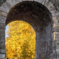 Про Питер :: Владимир Колесников