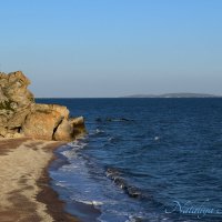 Природа Крыма :: Amazing Cosmea