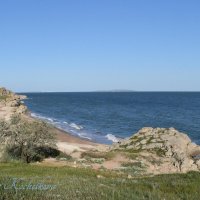 Природа Крыма :: Amazing Cosmea