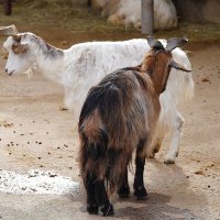 В парке Тайган :: Татьяна Тюменка