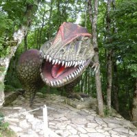 Телефоны в 2014 не ахти. :: Serega SchütZ