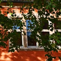 Осень 56 :: Алексей Кузнецов