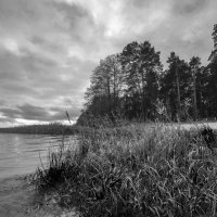 У озера. :: Николай 