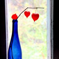 Натюрморт. :: жанна нечаева