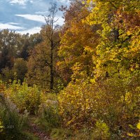 Октябрьский пейзаж :: Александр Синдерёв