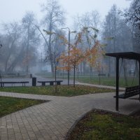 Туманное утро на улице :: Александр Синдерёв