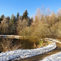 Подготовка к зиме :: Андрей Снегерёв