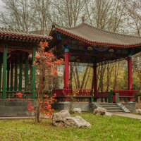 В парке Хуамин. :: Николай 