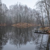 **** :: Елизавета .