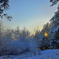 Первый снег. :: Михаил Колосов 