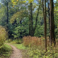 В Ботаническом саду :: Денис Масленников