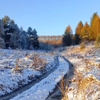 Ноябрь. Первый снег. :: Михаил Колосов Ноябрь. Первый снег. :: Михаил Колосов