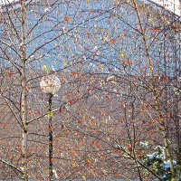 И снег, и солнце :: Светлана 