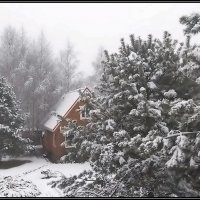 Зима "стучит" в окно :: Ольга Довженко Зима "стучит" в окно :: Ольга Довженко