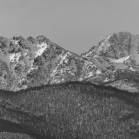 ... :: Жора Житников