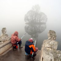 Вот утка пролетела... :: Михаил Бибичков Вот утка пролетела... :: Михаил Бибичков