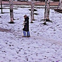 Ноябрь...Песик промочил лапки! :: Владимир 