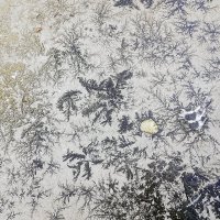 Узоры на асфальте :: Валерий Иванович