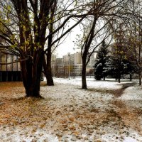 Дружно в воздухе кружат листопад и снегопад.. :: Татьяна Помогалова