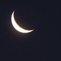 Убывающая луна :: Людмила Смородинская