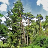 4005 :: Alex . 4005 :: Alex .