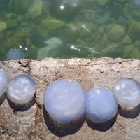 Новороссийск :: Елена Шаламова