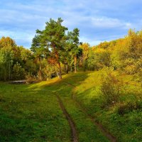 Новочебоксарск. Тропинка в овраге Ельниковской рощи осенью. :: Пётр Чернега