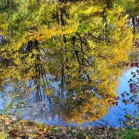 Картинки ноября :: Рита Симонова Картинки ноября :: Рита Симонова