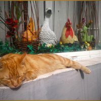 Охрана. :: Александр 