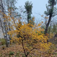 ,,, :: Сергей Тимоновский