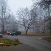 Туманное утро во дворе :: Александр Синдерёв