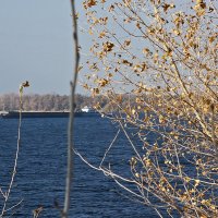 Осень на Волге :: MILAV V