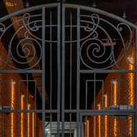 *** :: Игорь Протасов