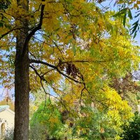 Санаторий Авангард Сочи :: Tata Wolf Санаторий Авангард Сочи :: Tata Wolf