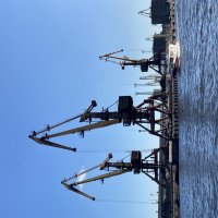 В порту :: Ольга Савельева 