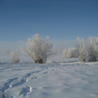 Зима :: Anna Ivanova
