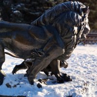 "Первый урок". :: Радмир Арсеньев