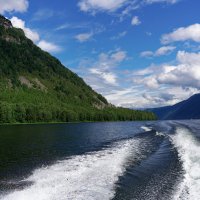 Алтай. На Телецком :: Вячеслав Алтай