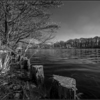 На низком старте... :: Николай Гирш На низком старте... :: Николай Гирш