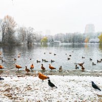 У берега :: Александр 