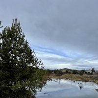 Зеркально :: Ален Янн