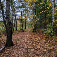 Так наступил октябрь 2023 :: Андрей Лукьянов