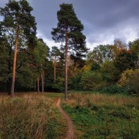 Так наступил октябрь 2023 :: Андрей Лукьянов Так наступил октябрь 2023 :: Андрей Лукьянов