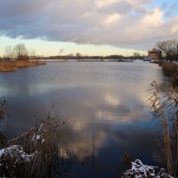 Парк Героев-пожарных. Ноябрь :: Наталья Герасимова Парк Героев-пожарных. Ноябрь :: Наталья Герасимова